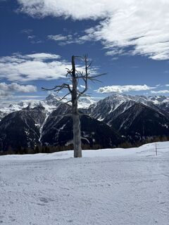 Foto von Heiko Arndt entlang der Tour