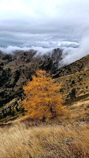 Photo de Fabrizi Mellano le long du parcours