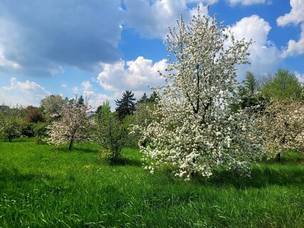 Zdjęcie z mmecki wzdłuż trasy