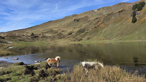 Fotografia z V Feurstein na trase