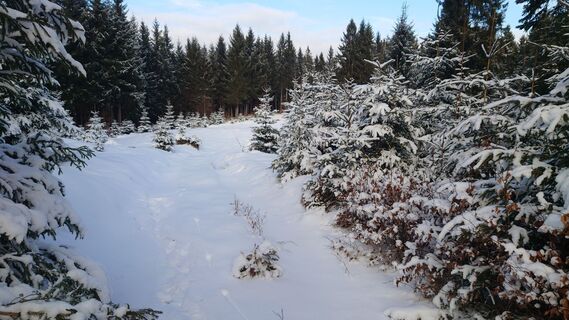 Zdjęcie z Guenther Hahn wzdłuż trasy
