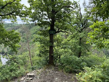 Zdjęcie z Bernd Schattschneider wzdłuż trasy