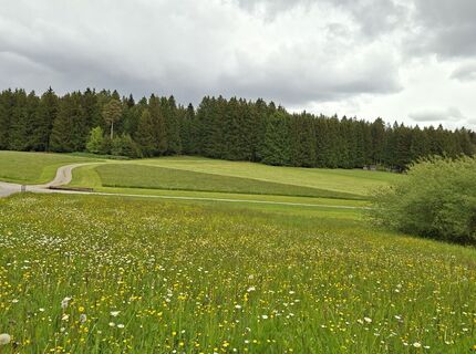 Photo de Karlborro1 le long du parcours
