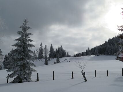 Ebenwald - Reisalpe