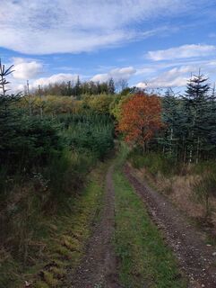 Zdjęcie z DevilsBastard wzdłuż trasy
