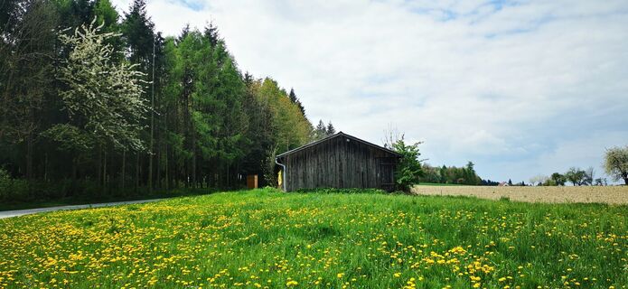Foto von Klaus Lehner entlang der Tour
