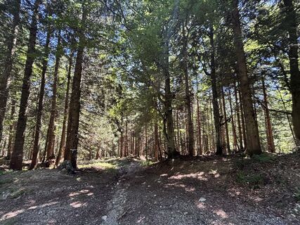 Photo de Chourmentis le long du parcours