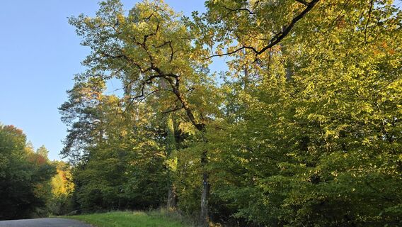 Foto von Katja Senkel entlang der Tour