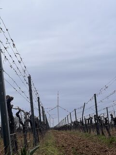 Foto von Daniel Kapp entlang der Tour