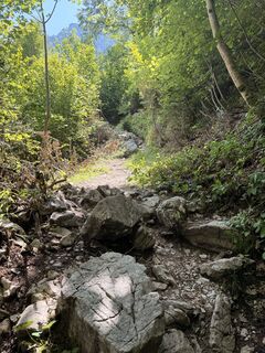 Foto von Raffael entlang der Tour