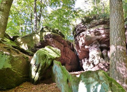 Die Jägersteine im Reinhäuser Wald