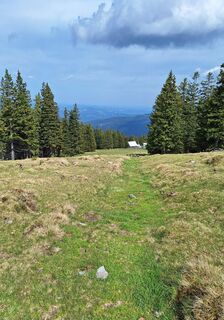 Fotografia z Aga M na trase