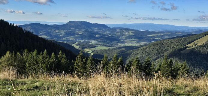 Photo from Siegfried Sauseng along the tour