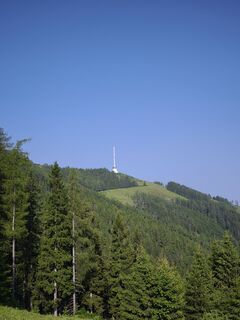 Fotografie z Hakuna Matata na trase