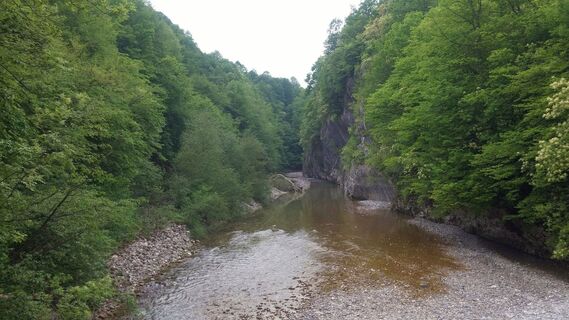 Von der Hängebrücke