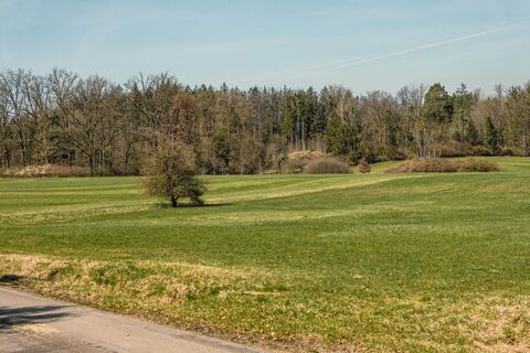 Zum Fuße des Burgbergs – Der Rundweg führt am Wald entlang