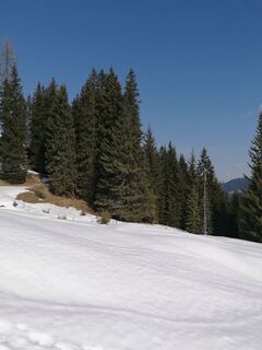 Photo de R. H le long du parcours