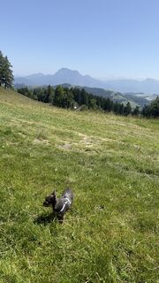 Photo de Viktoria le long du parcours