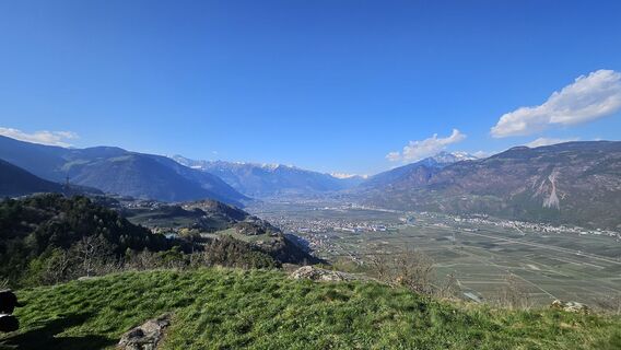 Fotografija s spletne strani Désirée Polz na poti