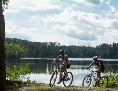 MTB Waldviertel