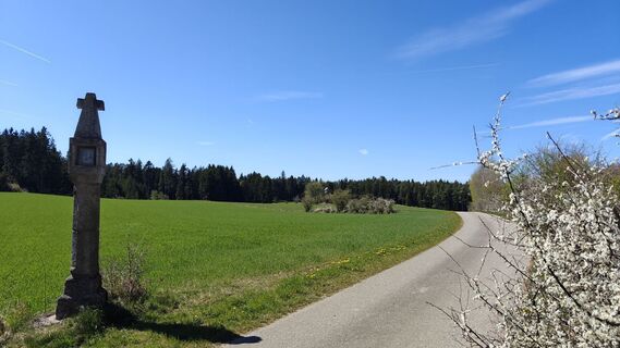 Fotografia z Manfred na trase