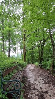 Fotografia z Aga M na trase