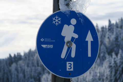 Winterwanderung 3 Herrischried