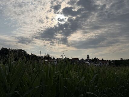 Foto von Schaali entlang der Tour