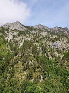 Traunkirchner Kogel, Oberösterreich/Österreich