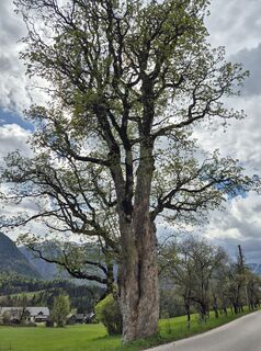 Foto von JensM entlang der Tour