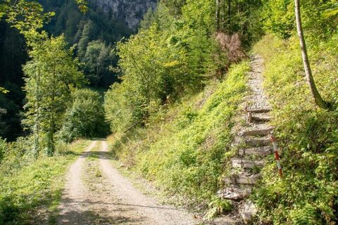 Im Abstieg treffen wir wieder auf den Forstweg
