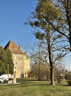 Foto de josef duermoser a lo largo del recorrido