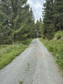 Foto von Leonard Fense entlang der Tour