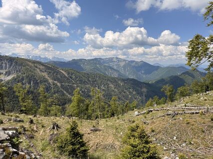 Photo de Natur_erleben_dg le long du parcours