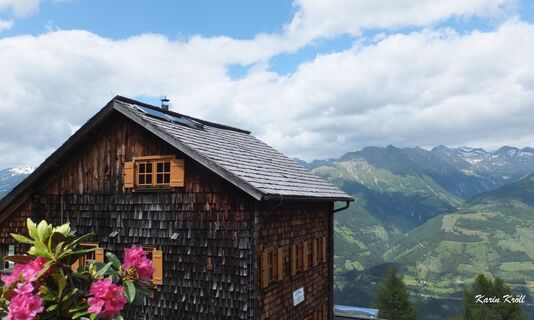 Polinikhütte