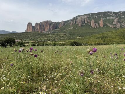 Fotografija s spletne strani Victor Moura na poti