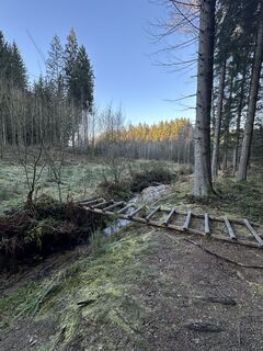 Foto von Babs Holz entlang der Tour