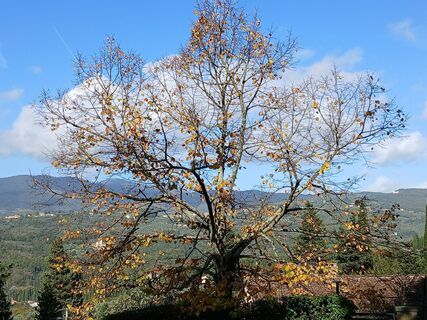 Photo de Slowtouring le long du parcours