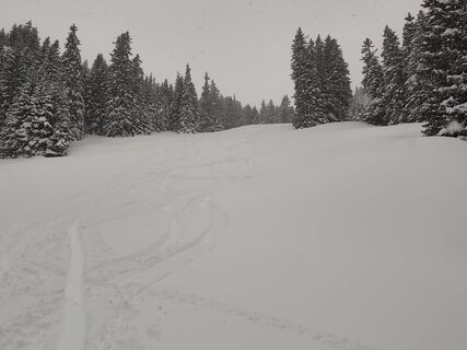 Foto von Peter Seliner entlang der Tour