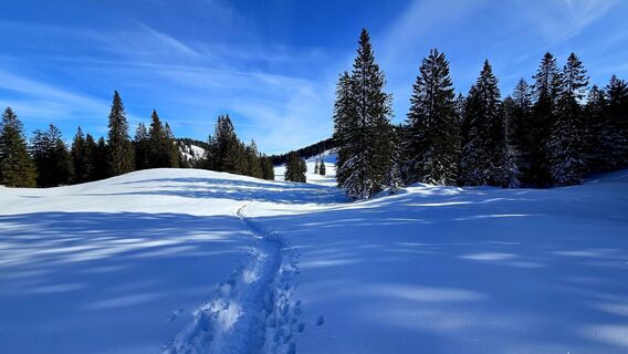 Foto von se_muck entlang der Tour