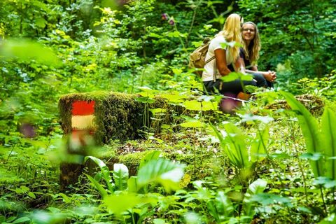 pause-im-urwald-c-tv-region-graz-mias-photoart.jpg