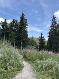Fotografie de la Heinz Sperl de-a lungul turului