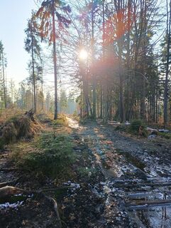 Fotó a Romek Dwornik honlapról a túra során