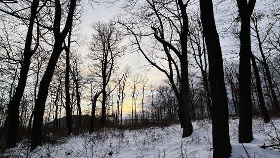 Foto de Kosikheni a lo largo del recorrido