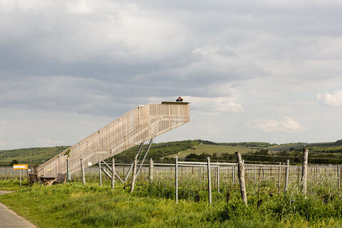 Blaufränkischweg Horitschon