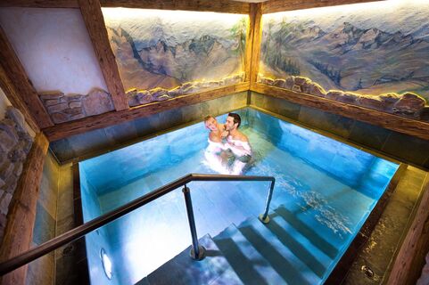 Hotel Alpina Wellness &amp; Spa Resort