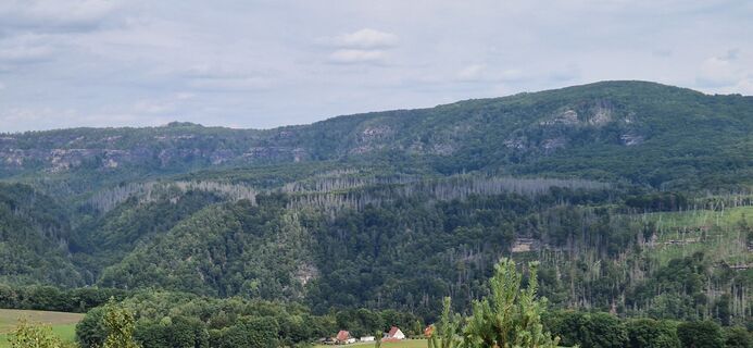 Zdjęcie z Ronny Kalusa wzdłuż trasy