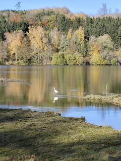Photo de Klaus-Maus le long du parcours