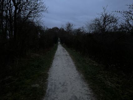 Fotografia z Schaali na trase