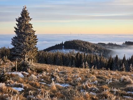 Foto von TwilightTea entlang der Tour